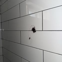 Solar Swim & Gym - Hair on the wall.