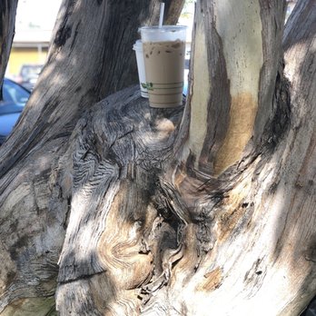 Java Junction - Iced vanilla latte and a caramel latte - Coffee & Tea Near Me - Santa Cruz, California