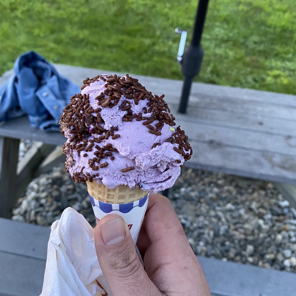 blueberry ice cream. so good! blueberry ice cream. so good!