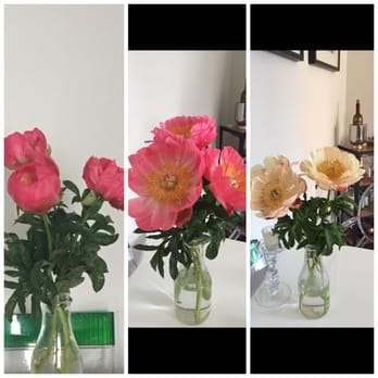 Flower You - Florists Near Me - New York, New York Flower You - Florists Near Me - New York, New York