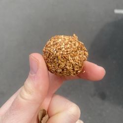 Sesame Donuts - Portland - Sesame Donut