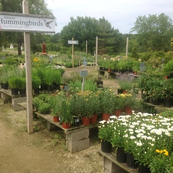 Wading River Nursery And Garden Supply - Nurseries & Gardening Near Me - Wading River, New York Wading River Nursery And Garden Supply - Nurseries & Gardening Near Me - Wading River, New York