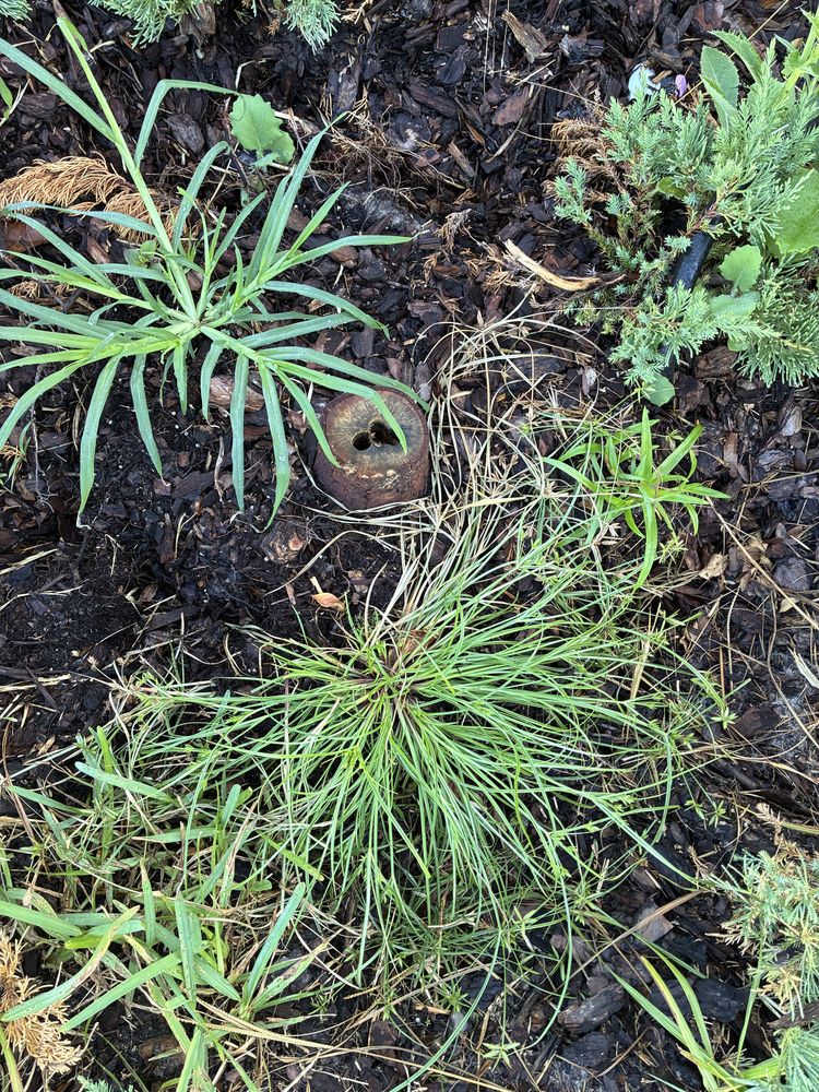 J&A Tree Removal - tree service in Jacksonville, FL