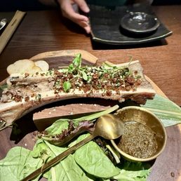 Bone Marrow Bone Marrow