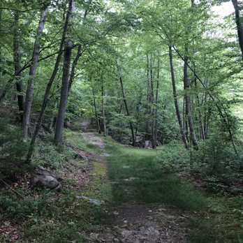 Blue Hills - Skyline Trail - Hiking Near Me - Quincy, Massachusetts
