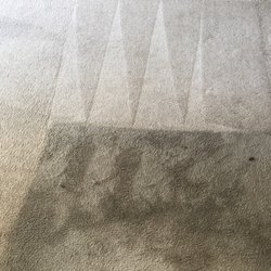 Hurricane Carpet Cleaning