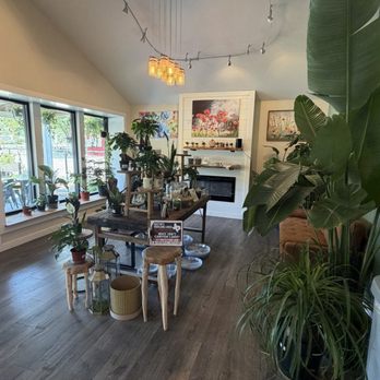 Scoops & Roots - Ice Cream & Frozen Yogurt Near Me - Canyon Lake, Texas