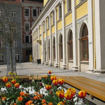 Rathaus - Rathaus mit Tulpen. Markt. - Town Hall Near Me - Bautzen, SN