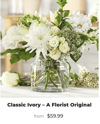 Best Selling - Learn More About Lotus Flowers
Lotus Flowers is the go-to florist in Stuart, FL, serving the area with fresh flower arrangements and additional gifts of all kinds! Since we opened, we've been the premier florist offering the freshest flowers and most beautiful arrangements for every occasion to the great residents of Stuart and beyond! Lotus Flowers is a locally-owned flower shop with floral designers that use their creative talent of floral design to share a love of flowers with the residents of Stuart through great design, precise attention-to-detail and wonderfully fresh flowers. All of our florists at Lotus Flowers take great pleasure in making arrangements that are as unique and beautiful as possible. So much love goes into every piece we design, and we make each one with a personal touch and friendly service, which is why the arrangements we make here are always high-quality. We care about our designs and want to impress every customer with flowers that will put a smile on anyone's face. Lotus Flowers is the best florist in Stuart, and we invite you to find out why by ordering with us online, over the phone at 772-210-0094 or in-person at our flower shop near you.
At Lotus Flowers, we craft both traditional and contemporary bouquets, with plenty of room for customization and uniqueness. This goes for every arrangement that we sell, from our Anniversary arrangements to New Baby gifts, Birthday flowers and all of our other options. On top of our everyday arrangements that we offer with same-day flower delivery in Stuart and beyond, we also do large event work for weddings and funerals as well, so if you are looking for Wedding flowers or Sympathy funeral flowers in Stuart, then Lotus Flowers is really your best choice! Best Sellers
Love & Romance
Birthday
Spring
Floral & Gift Baskets
Roses
Plants
Occasions
Mother's day
Anniversary
Just because
Wedding
Congratulations
Get well
New baby
Winter
Summer
Valentine's Day
Thank you
I'm Sorry
Sympathy
Sympathy bouquets
Wreaths
Funeral Packages
Standing Sprays
Casket Covers
Plants
Cremation Tributes Best Selling - Learn More About Lotus Flowers
Lotus Flowers is the go-to florist in Stuart, FL, serving the area with fresh flower arrangements and additional gifts of all kinds! Since we opened, we've been the premier florist offering the freshest flowers and most beautiful arrangements for every occasion to the great residents of Stuart and beyond! Lotus Flowers is a locally-owned flower shop with floral designers that use their creative talent of floral design to share a love of flowers with the residents of Stuart through great design, precise attention-to-detail and wonderfully fresh flowers. All of our florists at Lotus Flowers take great pleasure in making arrangements that are as unique and beautiful as possible. So much love goes into every piece we design, and we make each one with a personal touch and friendly service, which is why the arrangements we make here are always high-quality. We care about our designs and want to impress every customer with flowers that will put a smile on anyone's face. Lotus Flowers is the best florist in Stuart, and we invite you to find out why by ordering with us online, over the phone at 772-210-0094 or in-person at our flower shop near you.
At Lotus Flowers, we craft both traditional and contemporary bouquets, with plenty of room for customization and uniqueness. This goes for every arrangement that we sell, from our Anniversary arrangements to New Baby gifts, Birthday flowers and all of our other options. On top of our everyday arrangements that we offer with same-day flower delivery in Stuart and beyond, we also do large event work for weddings and funerals as well, so if you are looking for Wedding flowers or Sympathy funeral flowers in Stuart, then Lotus Flowers is really your best choice! Best Sellers
Love & Romance
Birthday
Spring
Floral & Gift Baskets
Roses
Plants
Occasions
Mother's day
Anniversary
Just because
Wedding
Congratulations
Get well
New baby
Winter
Summer
Valentine's Day
Thank you
I'm Sorry
Sympathy
Sympathy bouquets
Wreaths
Funeral Packages
Standing Sprays
Casket Covers
Plants
Cremation Tributes