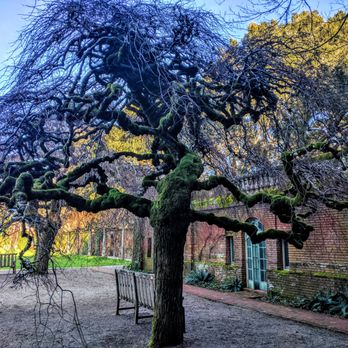Filoli - Botanical Gardens Near Me - Woodside, California