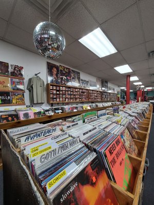 Cheapo Records by null