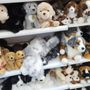 Photo of Necker's Toyland