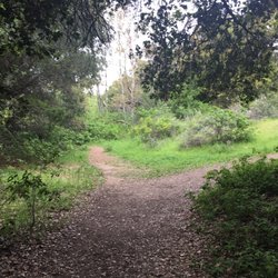 Obispo Mansion - Trail
