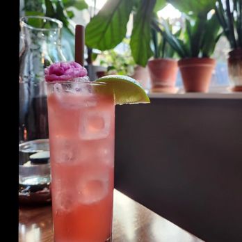 Veritas - Paloma - Cocktail Bars Near Me - Columbus, Ohio Veritas - Paloma - Cocktail Bars Near Me - Columbus, Ohio