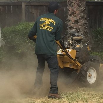Fernando's Tree Services - Tree Services Near Me - San Bernardino, California Fernando's Tree Services - Tree Services Near Me - San Bernardino, California