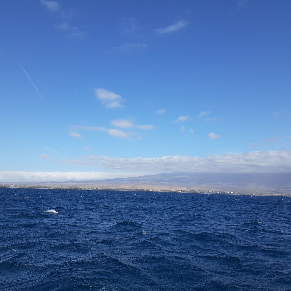 Boss Frog's - Whale Watching Tour - Tours Near Me - Koloa, Hawaii Boss Frog's - Whale Watching Tour - Tours Near Me - Koloa, Hawaii