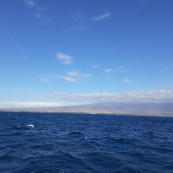 Boss Frog's - Whale Watching Tour - Tours Near Me - Koloa, Hawaii Boss Frog's - Whale Watching Tour - Tours Near Me - Koloa, Hawaii