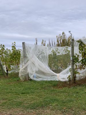 Domaine de Grand Pré by null