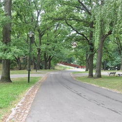 Vitabergsparkens hundrastgård - Vitabergsparken