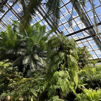 Lincoln Park Conservatory - Parks Near Me - Chicago, Illinois Lincoln Park Conservatory - Parks Near Me - Chicago, Illinois