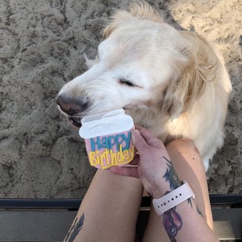 3 Dogs and a Chick - Pet Stores Near Me - Fort Walton Beach, Florida 3 Dogs and a Chick - Pet Stores Near Me - Fort Walton Beach, Florida