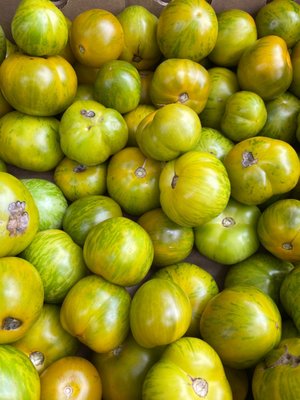Down to Earth McGolrick Park Farmers Market by null