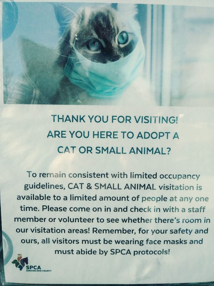 SPCA SERVING ERIE COUNTY Updated August 2024 32 Photos & 28 Reviews