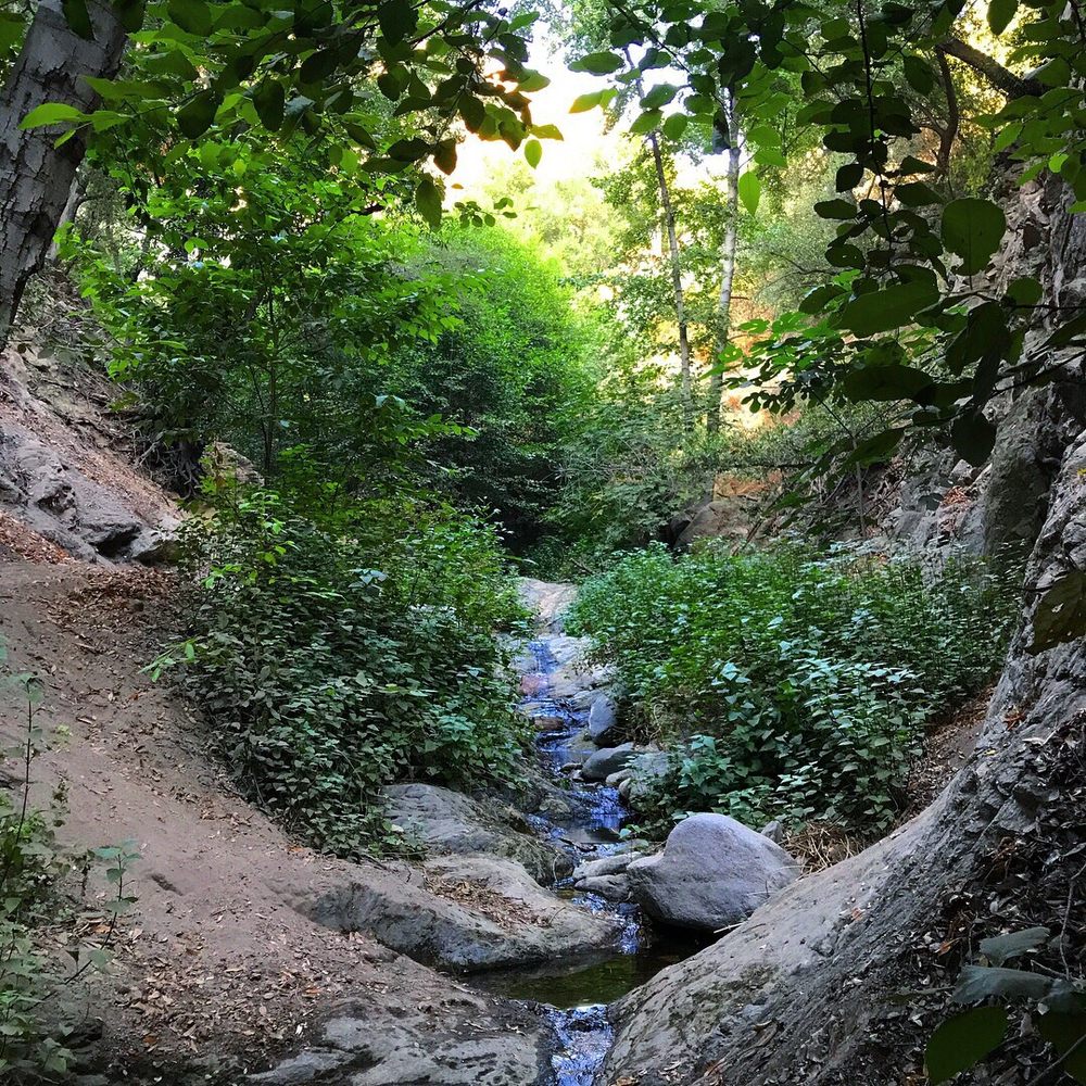 Millard Canyon - Parks Near Me - Altadena, California Millard Canyon - Parks Near Me - Altadena, California
