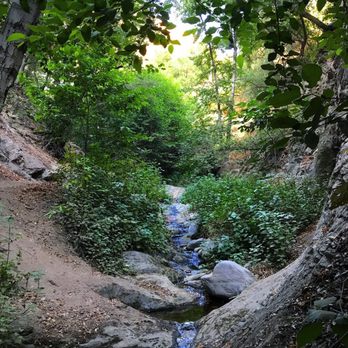 Millard Canyon - Parks Near Me - Altadena, California Millard Canyon - Parks Near Me - Altadena, California