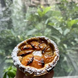 Apricot Tart