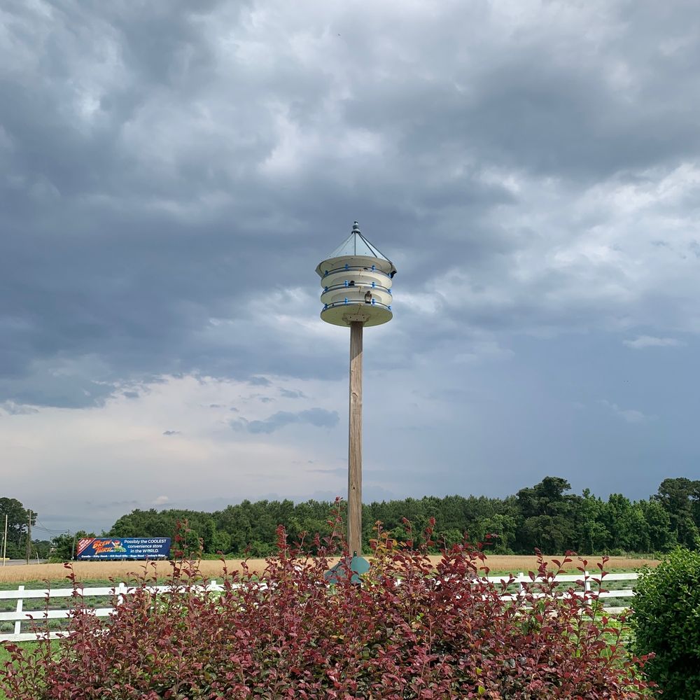 Carolina Charm - Purple Martins .... - Home Decor Near Me - Point Harbor, North Carolina Carolina Charm - Purple Martins .... - Home Decor Near Me - Point Harbor, North Carolina