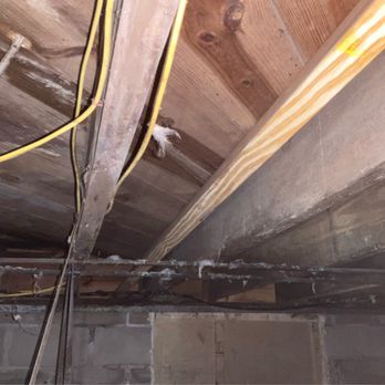 DeTect Termite & Moisture Service and The Brickkicker - Home Inspectors Near Me - Norfolk, Virginia DeTect Termite & Moisture Service and The Brickkicker - Home Inspectors Near Me - Norfolk, Virginia