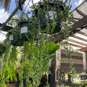 Perfect Choice Nursery - Nurseries & Gardening Near Me - Southwest Ranches, Florida Perfect Choice Nursery - Nurseries & Gardening Near Me - Southwest Ranches, Florida