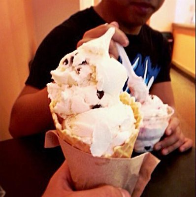 Dippity Do Dahs Homemade Ice Cream by null