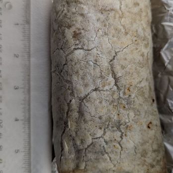 TaCo - Kung Pao Chicken Burrito (ruler for scale) - Tacos Near Me - Mansfield, Connecticut