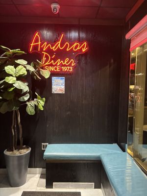 Andros Diner by null