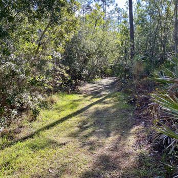 Tibet-Butler Preserve - Wet ground - Parks Near Me - Orlando, Florida Tibet-Butler Preserve - Wet ground - Parks Near Me - Orlando, Florida