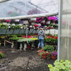 Heimiller Greenhouses - Inside the other greenhouse