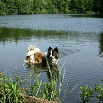 Silbersee - Lakes Near Me