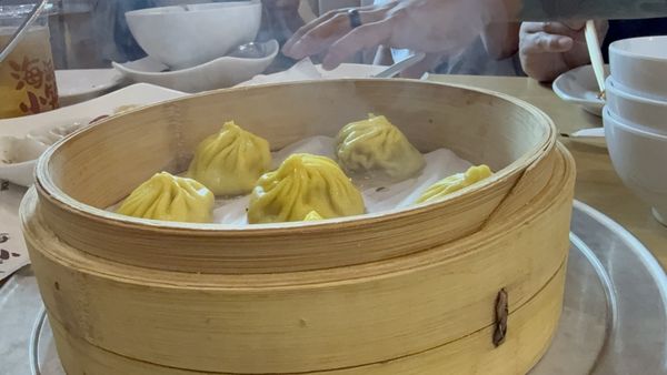Ugly Dumpling - Edison, NJ by null