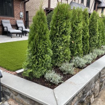 JL Hernandez Landscaping - a row of bushes in front of a house - Landscaping Near Me - New Rochelle, New York JL Hernandez Landscaping - a row of bushes in front of a house - Landscaping Near Me - New Rochelle, New York