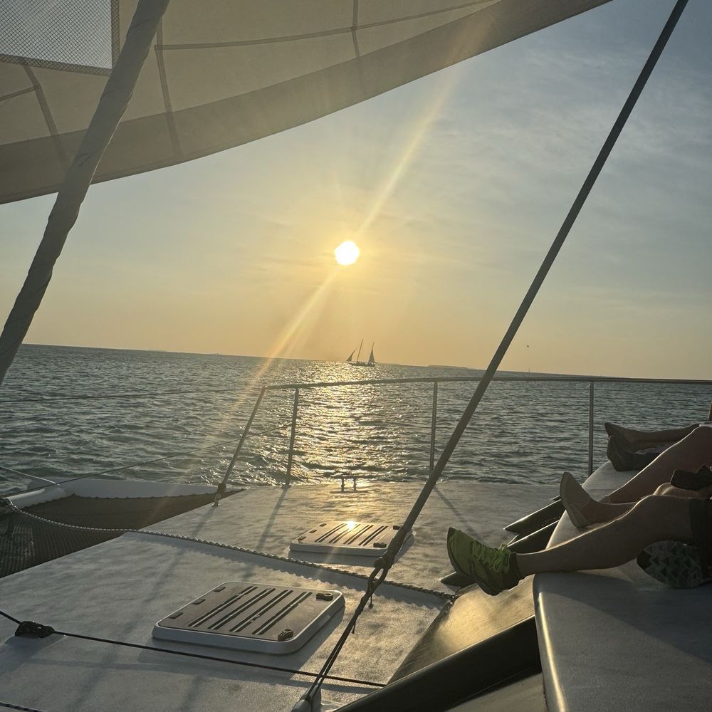 Argo Navis Key West Sailing Charters - Front catamaran sunset - Boat Charters Near Me - Key West, Florida Argo Navis Key West Sailing Charters - Front catamaran sunset - Boat Charters Near Me - Key West, Florida