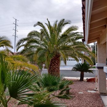 Aron's Tree Service - Tree Services Near Me