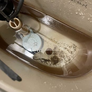 Deerbrook Garden Apartments - The clip the string that flushes the toilet - Apartments Near Me - Humble, Texas Deerbrook Garden Apartments - The clip the string that flushes the toilet - Apartments Near Me - Humble, Texas