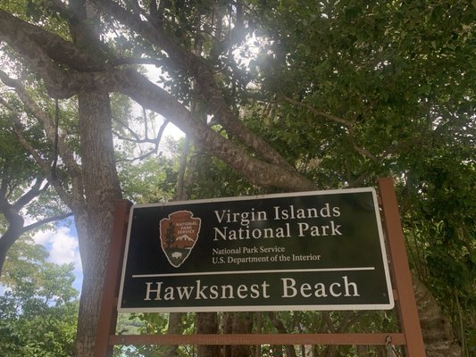 Hawksnest Beach by null