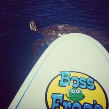 Boss Frog's - Stand up paddle board - Tours Near Me - Kihei, Hawaii Boss Frog's - Stand up paddle board - Tours Near Me - Kihei, Hawaii