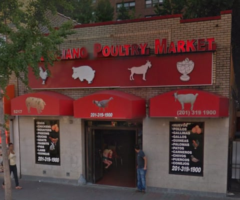 MARZIGLIANO LIVE POULTRY MARKET - Updated July 2025 - 5217 Bergenline Ave, West New York, New 