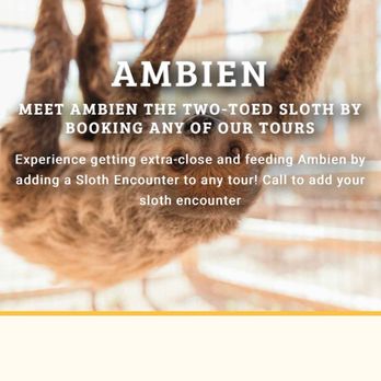 Camel Safari - Zoos Near Me - Bunkerville, Nevada