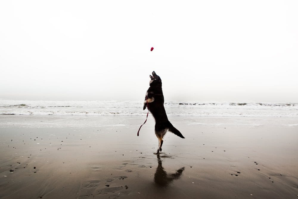 Slide of Advanced Home Services