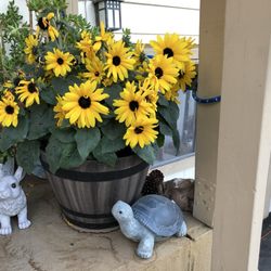 Grocery Outlet - Turtles and rabbits and flowers